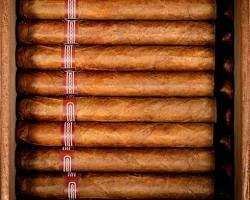 secret of the humidor