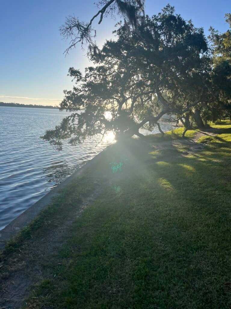 Old Tampa Bay shoreline at Philippe Park Safety Harbor