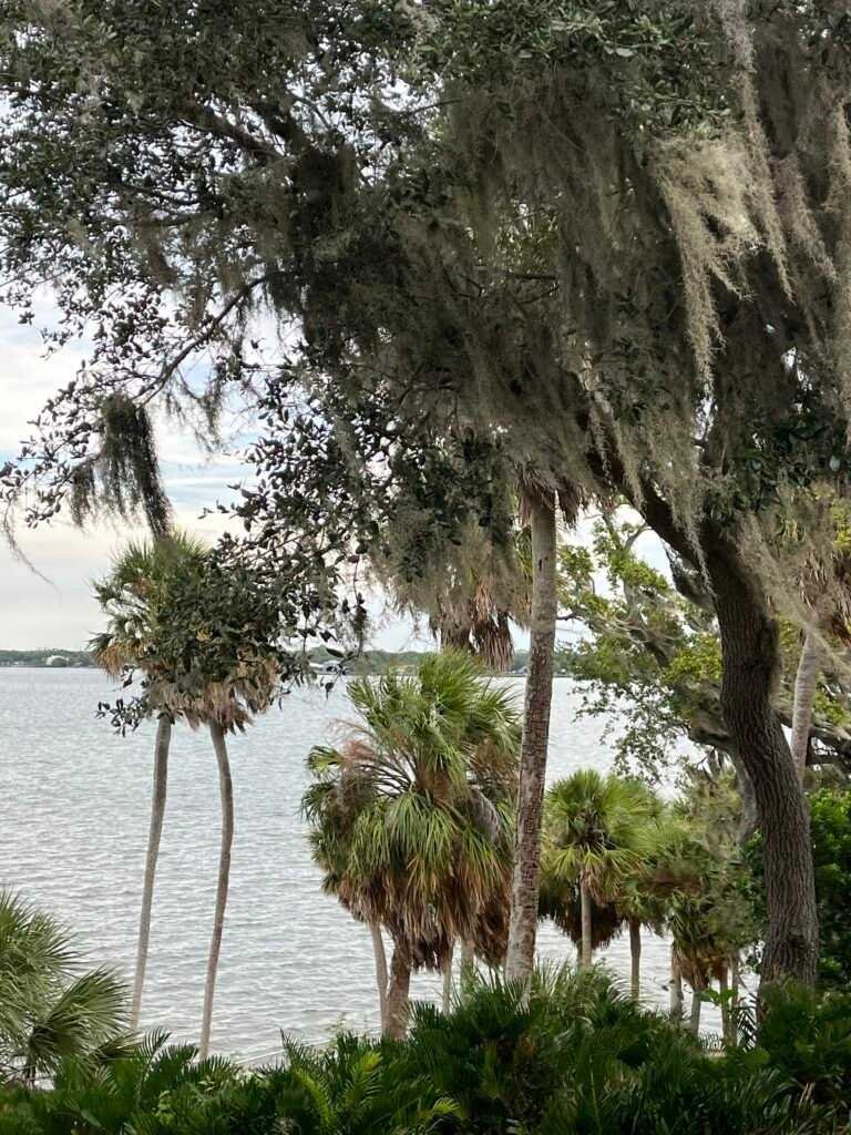 philippe park safety harbor