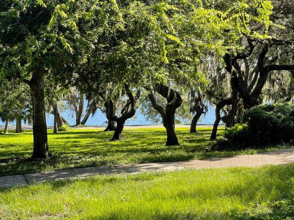 Old Tampa Bay shoreline at Philippe Park Safety Harbor