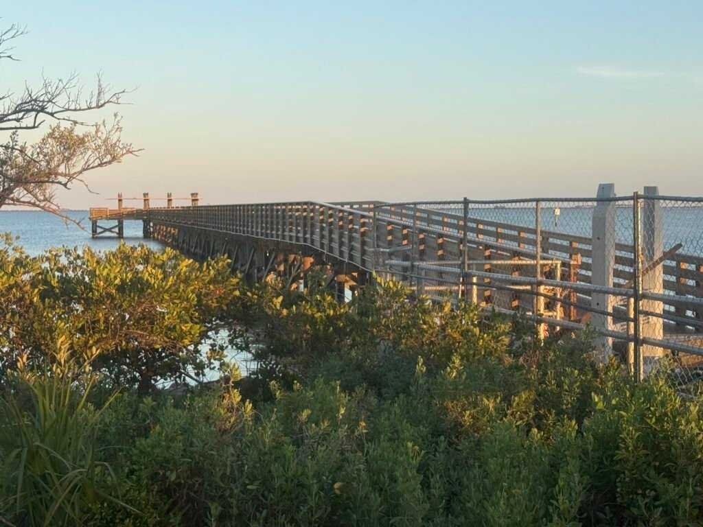 safety harbor third friday
