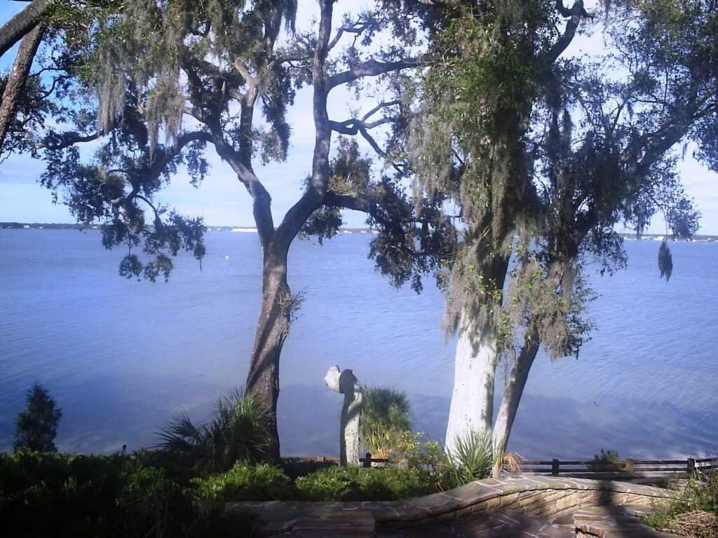 history of safety harbor
